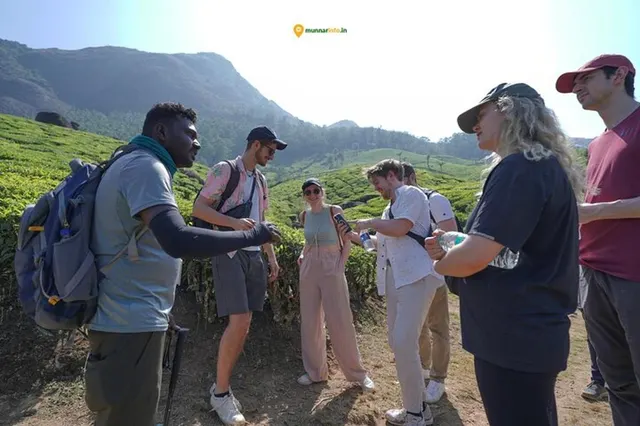 Tea trail in Munnar, with a factory visit