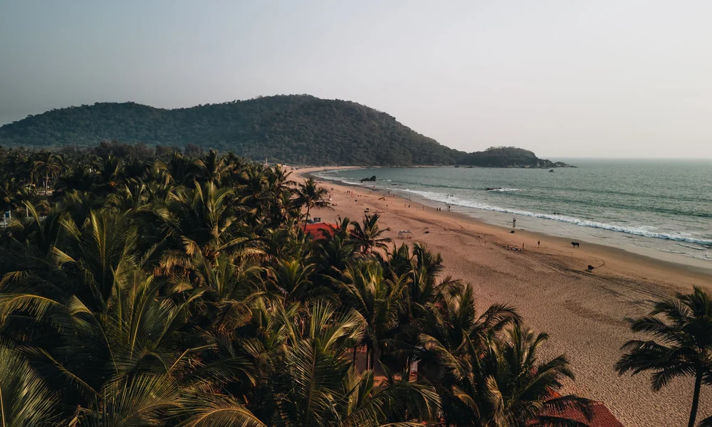 Palolem beach among palm trees, in south Goa
