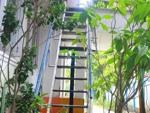 Façade and garden of Johnson's Homestay in Kerala